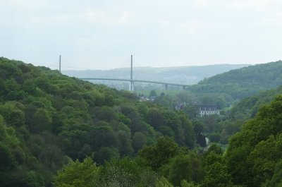 Forêt domaniale du Trait-Maulévrier