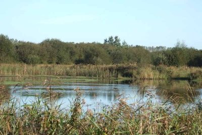 Réserve de Chasse et de Faune Sauvage des Bohons