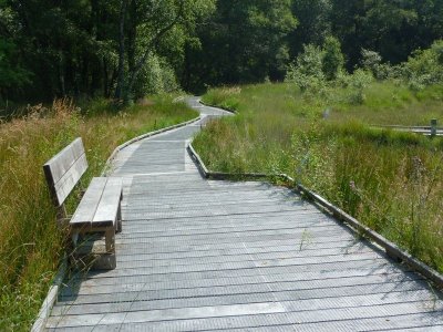 Tourbière de la Lande Mouton