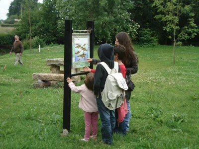 Animaux d'eau, anim'au dos