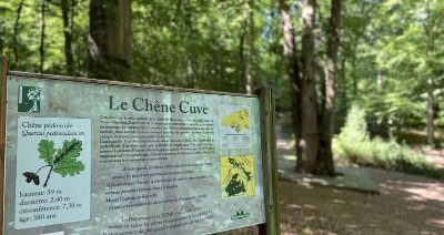 Le Chêne Cuve