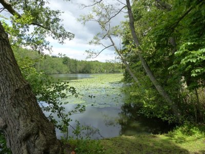 Espace Naturel Départemental : Le Sentier du Héron