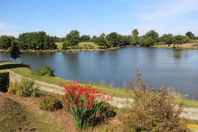 Etang de la Queue d'Aronde