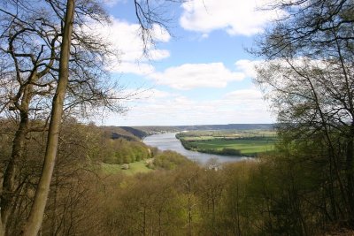 Le Bois de Villequier