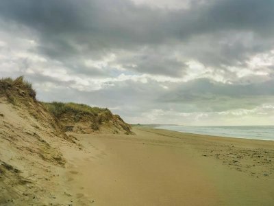 Dunes de Surtainville