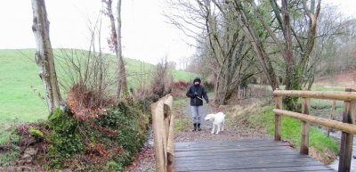 Zone humide du Mocquart