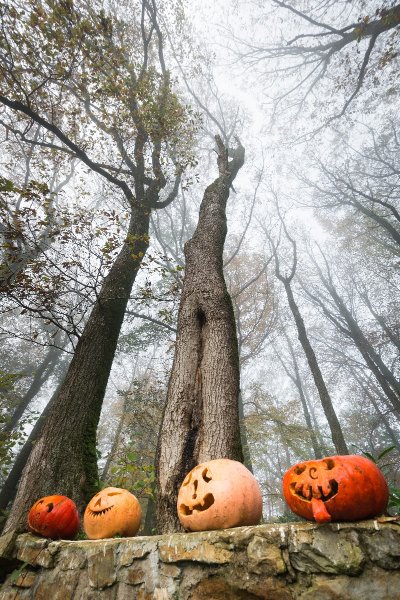 Exposition : A l'encre des légendes de Denez Prigent