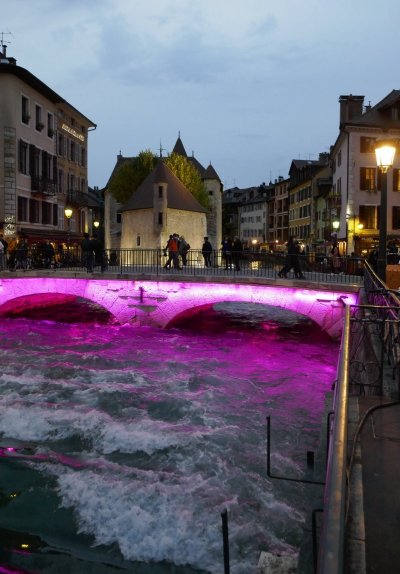 Les visites des coulisses de l’Aquarium de Biarritz