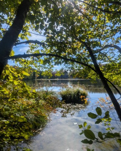 Balade familiale au cœur de l’Espace Naturel Sensible de la Save : de Roche-Plage au lac de Save
