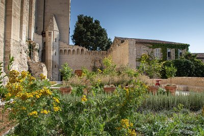 Les Jardins du Palais des papes