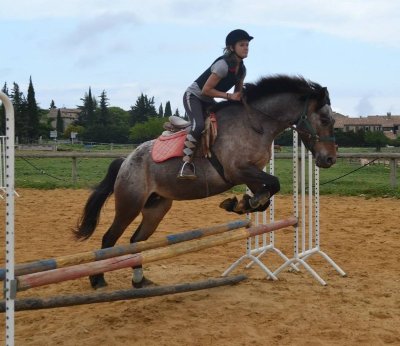 Centre Equestre de Méjannes le Clap