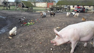 La ferme du Château