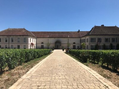 Château de Chassagne-Montrachet