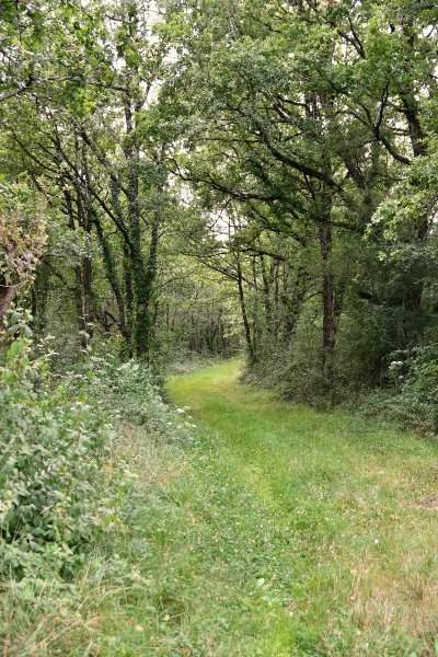 Entre Champs et Forêt - Circuit n°63