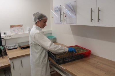 Domaine des Mylânes