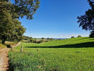 La randonnée de la forêt