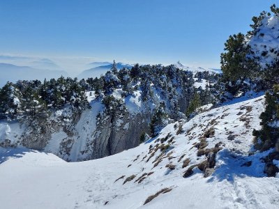 Sentier raquettes de Lélex au Crêt de la Neige