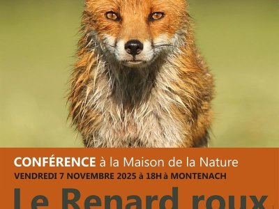 Récré nature - À la nuit tombée...