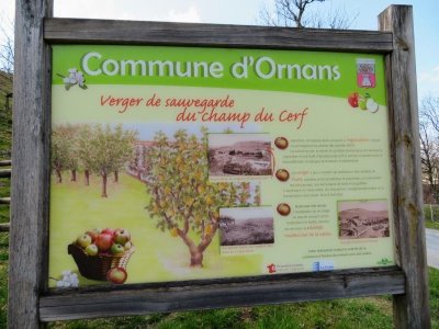 Verger Conservatoire