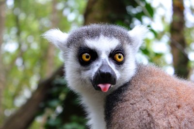 Réserve Zoologique de Calviac