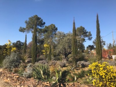 Jardin Botanique du Réal