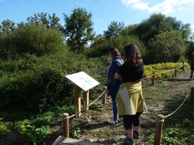 La zone humide de Loumagne