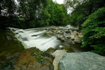 Réserve naturelle régionale de la basse-savoureuse