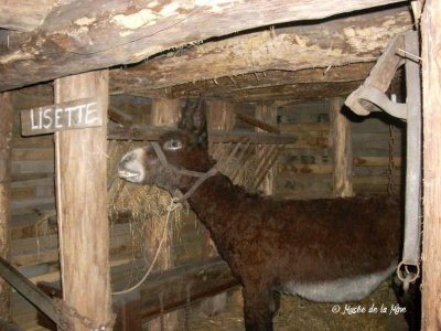 Musée de la Mine et Puits des Glénons