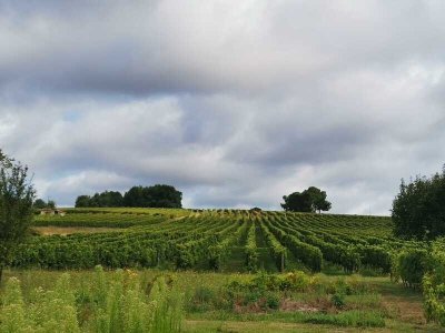 Parcours marche/trail/VTT