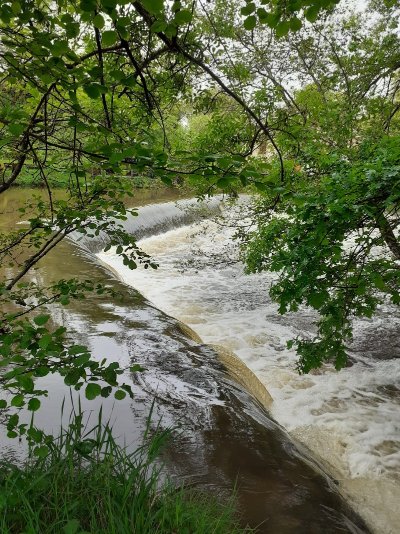 circuit Brame et pâturage