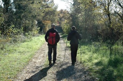 Le circuit des vignes et du plan d'eau