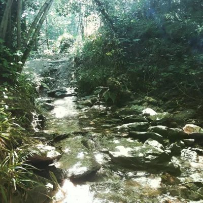 Randonnée - Le chemin des Puechs