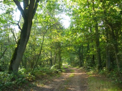Circuit des Rouliers