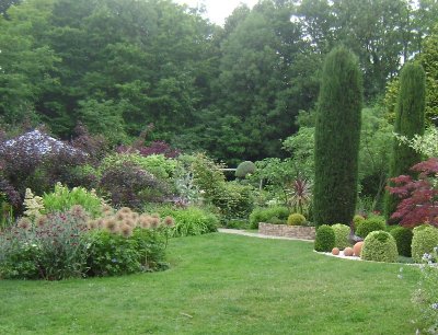 Le jardin des vieilles vignes