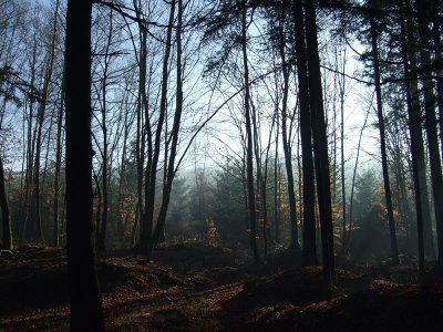 Circuit de la Blette