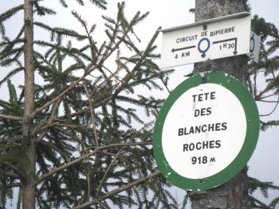 Circuit pédestre - Salm