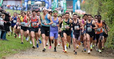 Antigone des Supermarchés