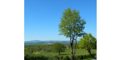 Circuit de la Pierre que Croule