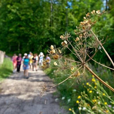 Balade ludique Randoland - Parc Thermal