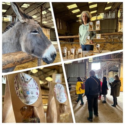 Visite de la ferme des ânesses de la Côte du Puits