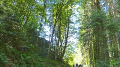 Circuit pédestre - Gratin