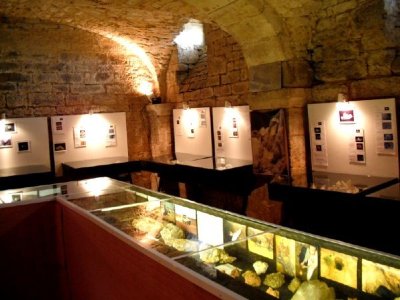 Musée des sciences de la terre Pierre Cretin