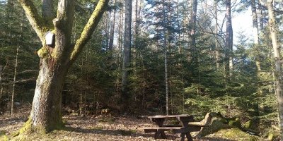 Circuit pédestre - Par la Chaume de Lusse