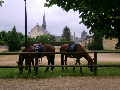 Écurie/Elevage des Rosiers