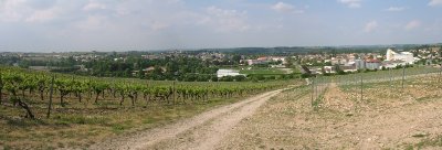 Circuit | Chemin des Vignes | Mosnac-St-Simeux