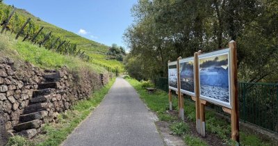 Promenades photographiques du Rangen – Édition Amateurs 2025-2026