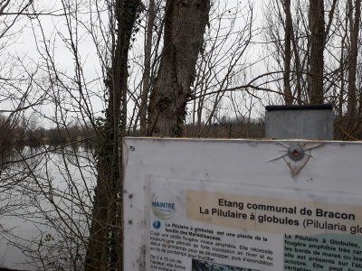 Plan d'eau de Bracon