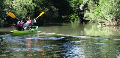 Canoë sur la Saône sauvage