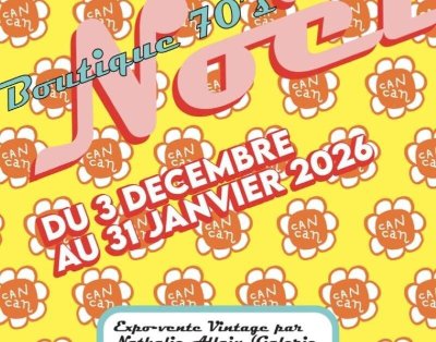 Expo-vente d'objets et mobilier vintage des années 1970 par Nathalie Allain (Galerie 20-21e)