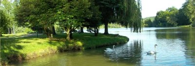 Etangs de l'Aigrette